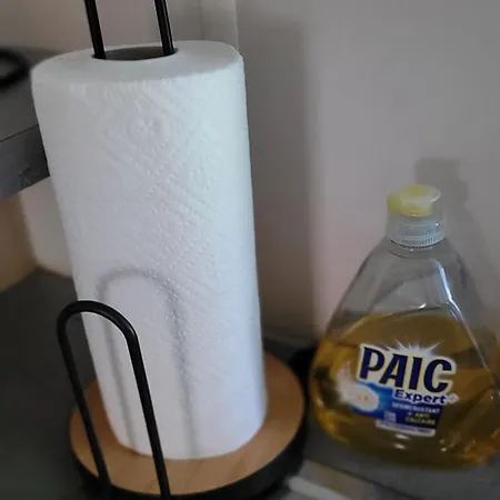 Domus 20min Europapark Boofzheim